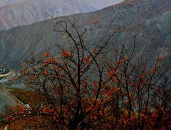 Hakkari sonbahar güzelliği