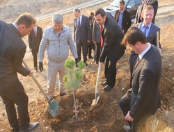 Hakkari yeşillikle hatırlanacak