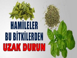 Hamileler dikkat