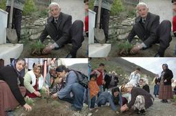 KADINLAR MEZARLIKLARA FİDAN DİKTİ