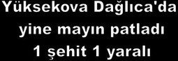 YÜKSEKOVA DAĞLICA`DA MAYIN PATLADI