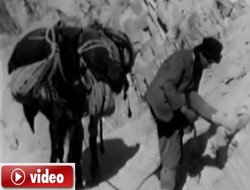 1974 Hakkari video