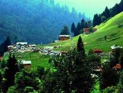 Karadeniz başbakanı dinlemedi