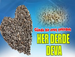 Çekirdek her derde deva