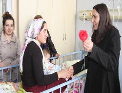 Hakkari'de 8 mart etkinlikleri