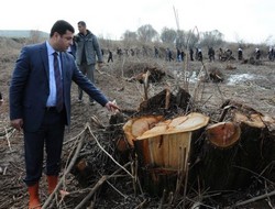 Demirtaş" Bu bir Gezi direnişidir"