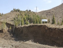 Hakkari kent ormanı tahrip oluyor,,,