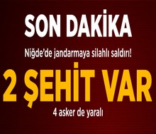 Jandarma Timlerine Saldırı..