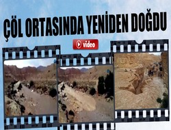 Kuruyan nehir canlandı