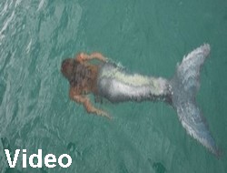 Deniz kızı kameraya yakalandı