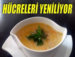 Kavuk suyu hücreleri yeniliyor
