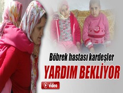 Böbrek hastası kardeşlerin dramı