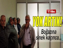 sineği öldürmek için zehir içirdiler