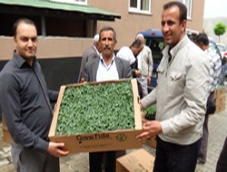 Hakkari'li çiftçilere meyve fidesi dağıtıldı,,,
