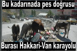 BURASI HİNDİSTAN DEĞİL HAKKARİ