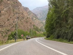 Tehlike saçan kavak ağacı kaldırıldı,,,