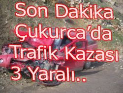 KARAKIŞ AİLESİ KAZA GEÇİRDİ 3 YARALI