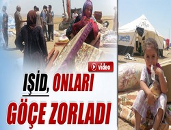 IŞİD onları göçe zorladı