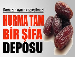 Hurmanın faydaları