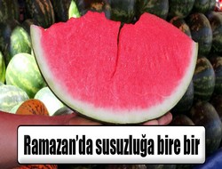 Susuzluğa birebir