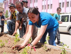 Hakkari’de yeşillendirme çalışması