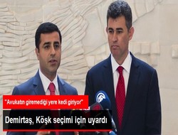 Demirtaş: Avukatın giremediği yere kedi giriyor