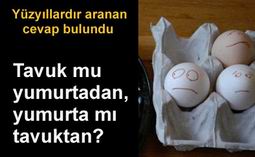 YUMURTA NERDEN ÇIKTI TARTIŞMASI