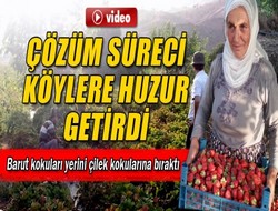 Barut kokuları yerini çilek kokularına bıraktı