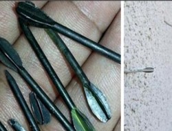 İsrail Gazze'de ölümcül ok kullanıyor