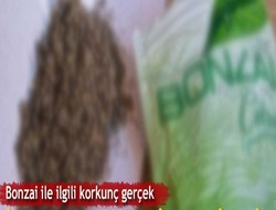 Kalp krizinin nedeni “Bonzai” çıktı