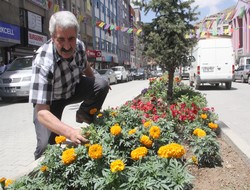 Ekilen çiçekler Hakkari'ye renk kattı