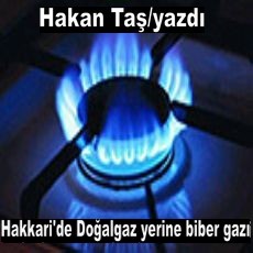 DOĞALGAZLA TANIŞMAYAN TEK İL HAKKARİ