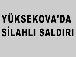 Yüksekova'da silahlı saldırı