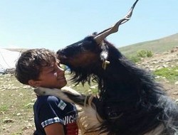 Teke'nin sevgisi büyüledi