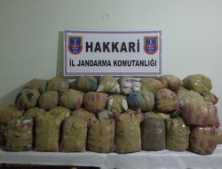 Hakkari'de 773 kilo toz esrar ele geçirildi