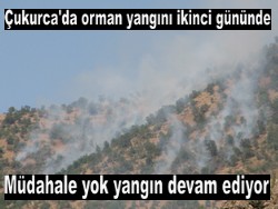 ORMAN YANGINI İKİNCİ GÜNÜNE GİRDİ