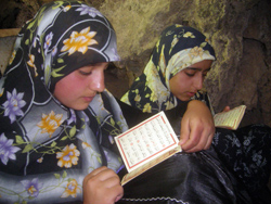 NİWİ TİMEH ETKİNLİKLERİ