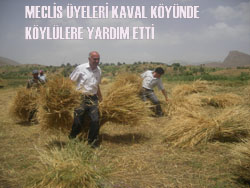 MECLİS ÜYELERİ  BUĞDAY TARLASINDA