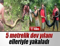 5 metrelik dev anakonda!