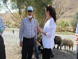 Geçitli köyünde hayvan sağlığı taraması