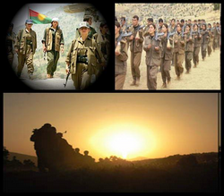 PKKNİN EYLEMSİZLİK KARARI SEVİNDİRDİ