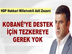 Zozani: tezkereye gerek yok