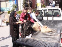 Kurban derileri Kobani'ye,,,