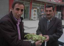 YAYLA MUZU  UÇKUN  PİYASAYA ÇIKTI