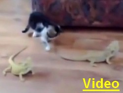 Böyle korku görülmedi