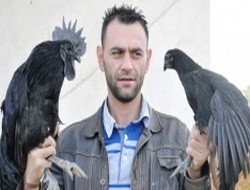 15 bin dolarlık horoz ve tavuk
