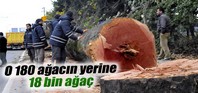 Ağcaların yerine yenileri dikilldi