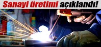 Sanayi üretimi rakamları açıklandı