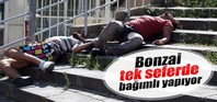 Bonzai tek seferde bağımlı yapıyor