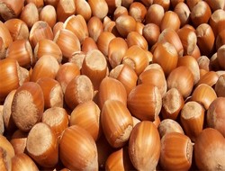 Fındığın yararları